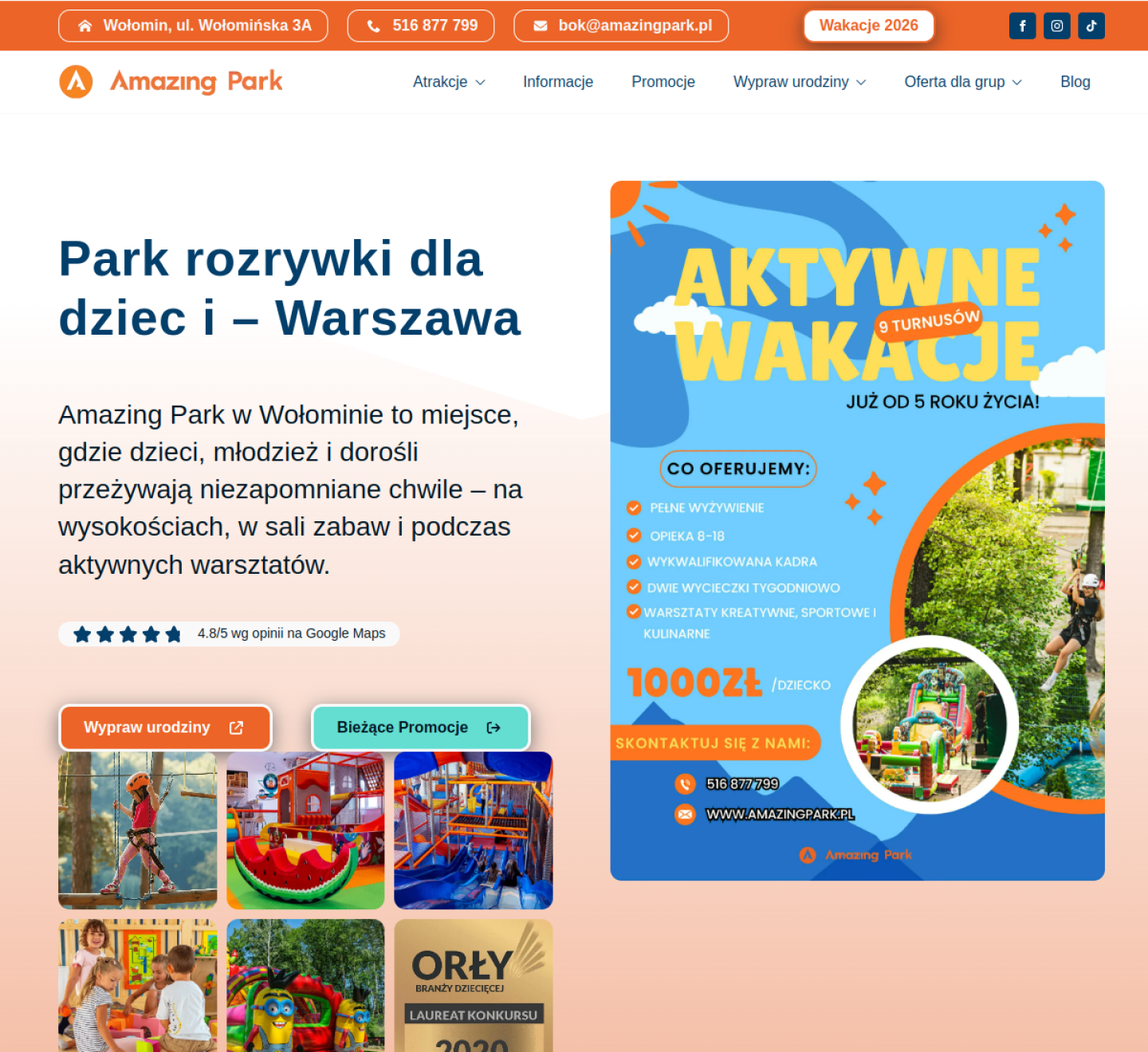 Widok desktop strony Amazing Park