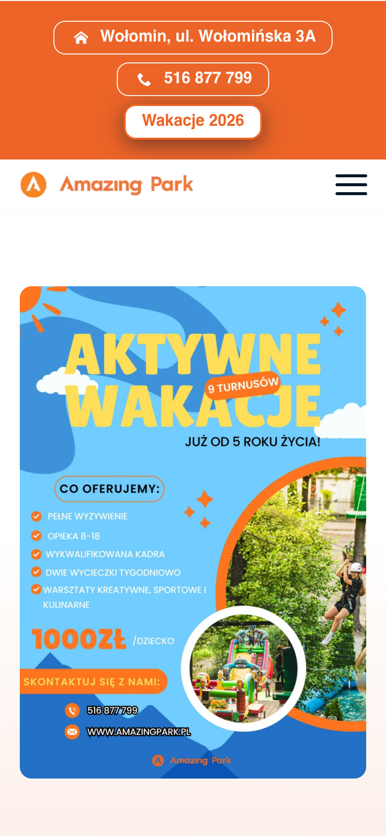 Widok mobilny strony Amazing Park